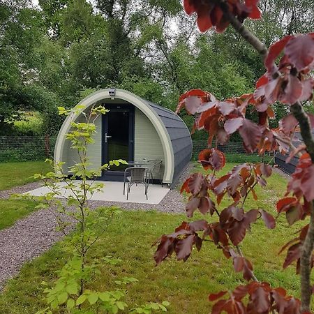 Mount Hillary Holiday Pods Cork Extérieur photo