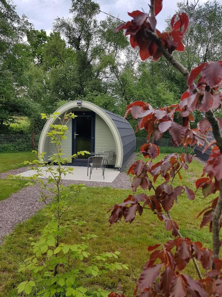 Mount Hillary Holiday Pods Cork Extérieur photo